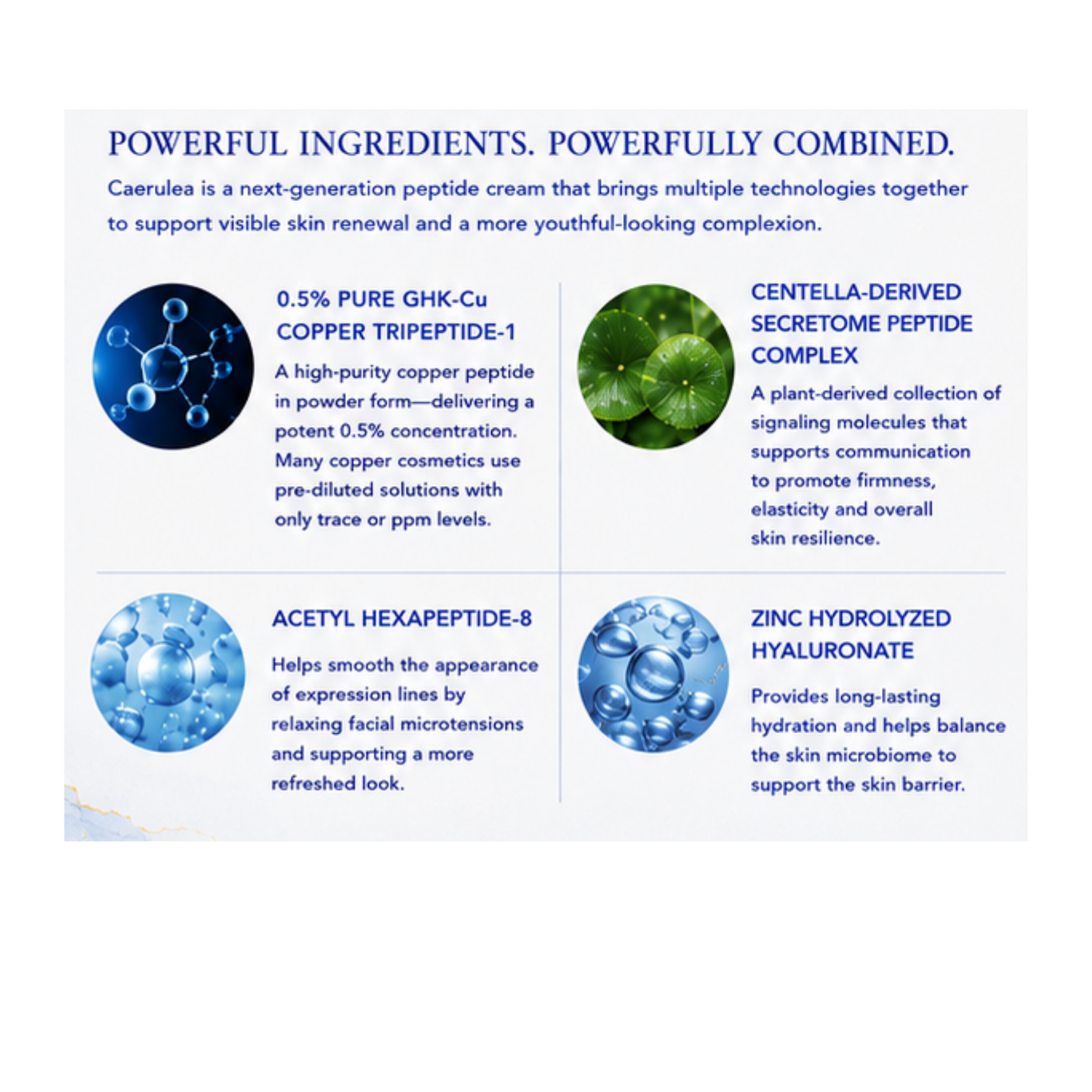 An informational graphic detailing the ingredients of Caerulea peptide cream, featuring four distinct panels with text and corresponding circular blue and green ingredient illustrations on a light blue background.