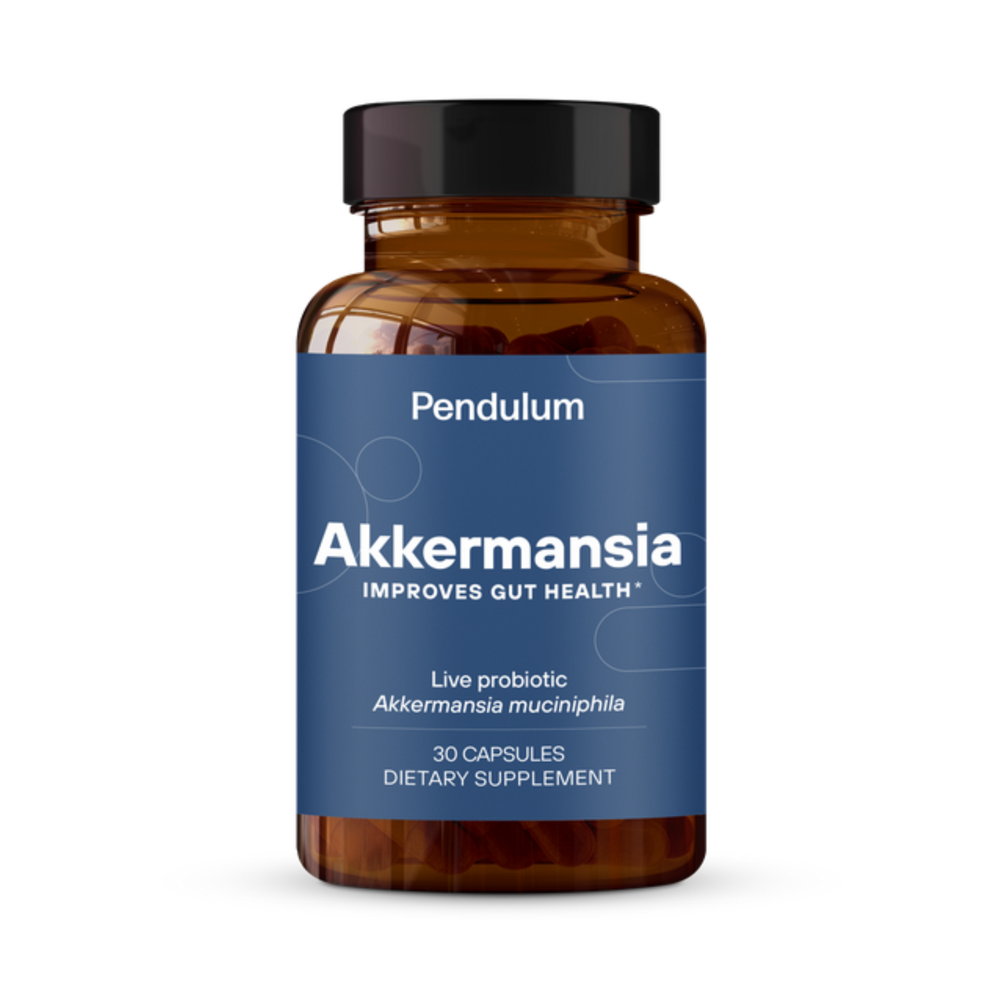 Akkermansia