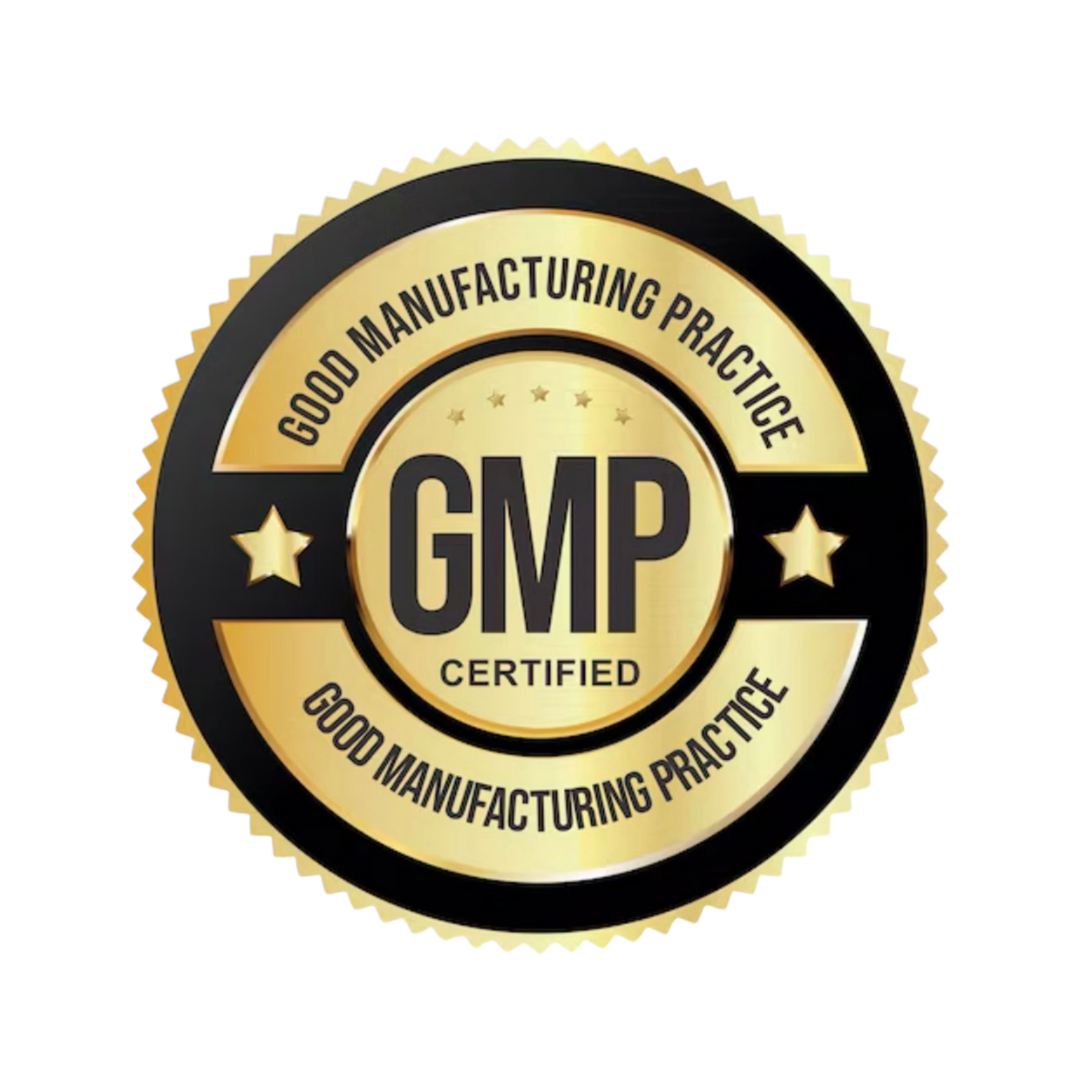 GMP (Good Manufacturing Practice) certified badge on a white background