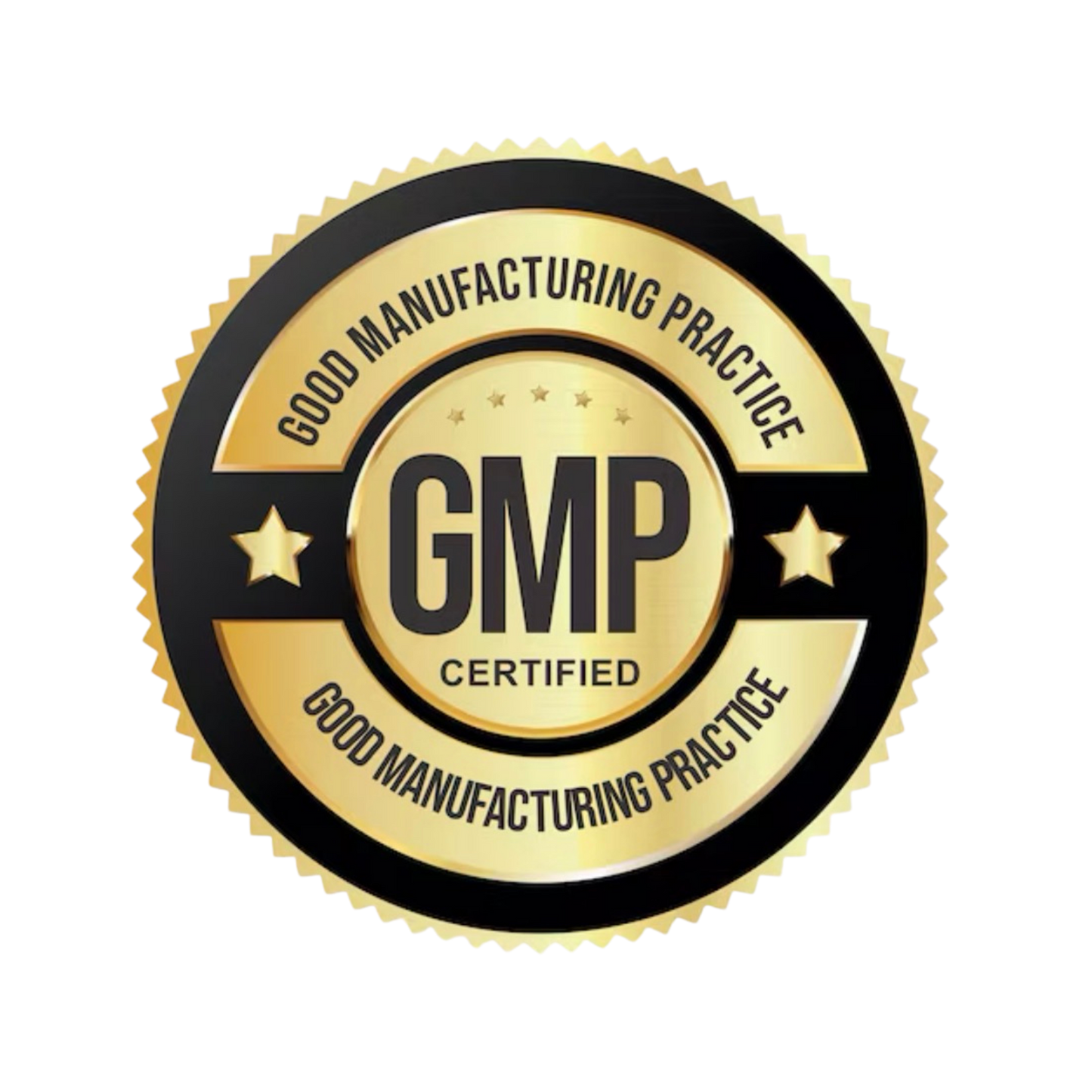 GMP (Good Manufacturing Practice) certified badge on a white background