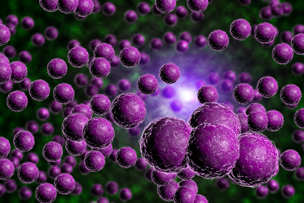 model of staph bacteria colony